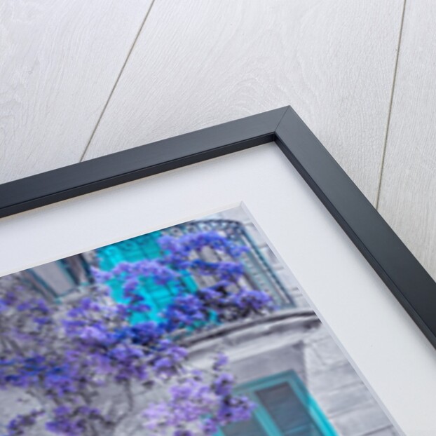 Maltese house in Mdina, Malta by Assaf Frank